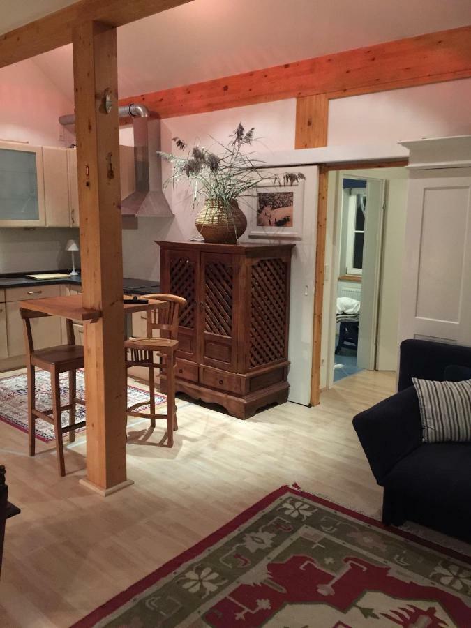 Ku:L Apartment 4Pers. Planai Dachstein Oblarn المظهر الخارجي الصورة